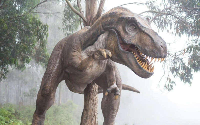 Jaki dinozaur ma 500 zębów — fakty, typy i cykl życia - Rozrywka Dinozaur Ktory Ma 500 Zebow