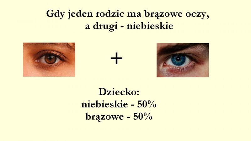 Jaki kolor oczu będzie miało moje dziecko? | Papilot Jaki Kolor Oczu Bedzie Mialo Moje Dziecko