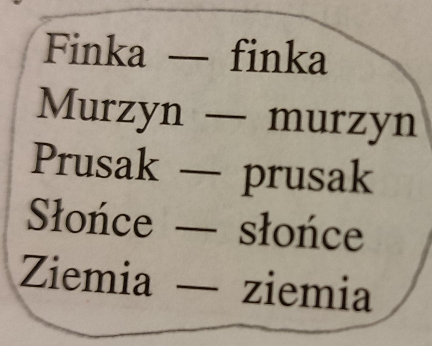 Jakie znaczenie mają wyrazy w następujących parach. Z czym się wiąże Pisownia Wielką I Małą Literą ćwiczenia Klasa 6