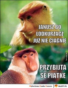 Janusz bo odkurzacz już nie ciągnię, przybijta se piątkę małpa Polak Janusz Kulig Data I Miejsce śmierci