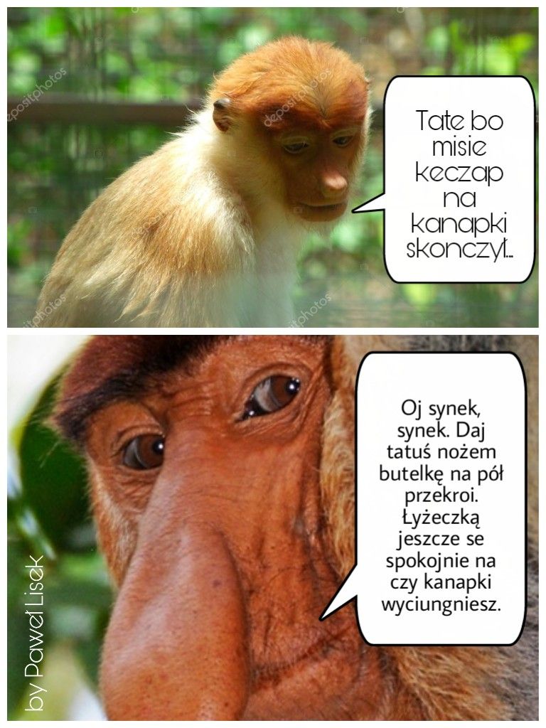 Janusz Kulig Data I Miejsce śmierci