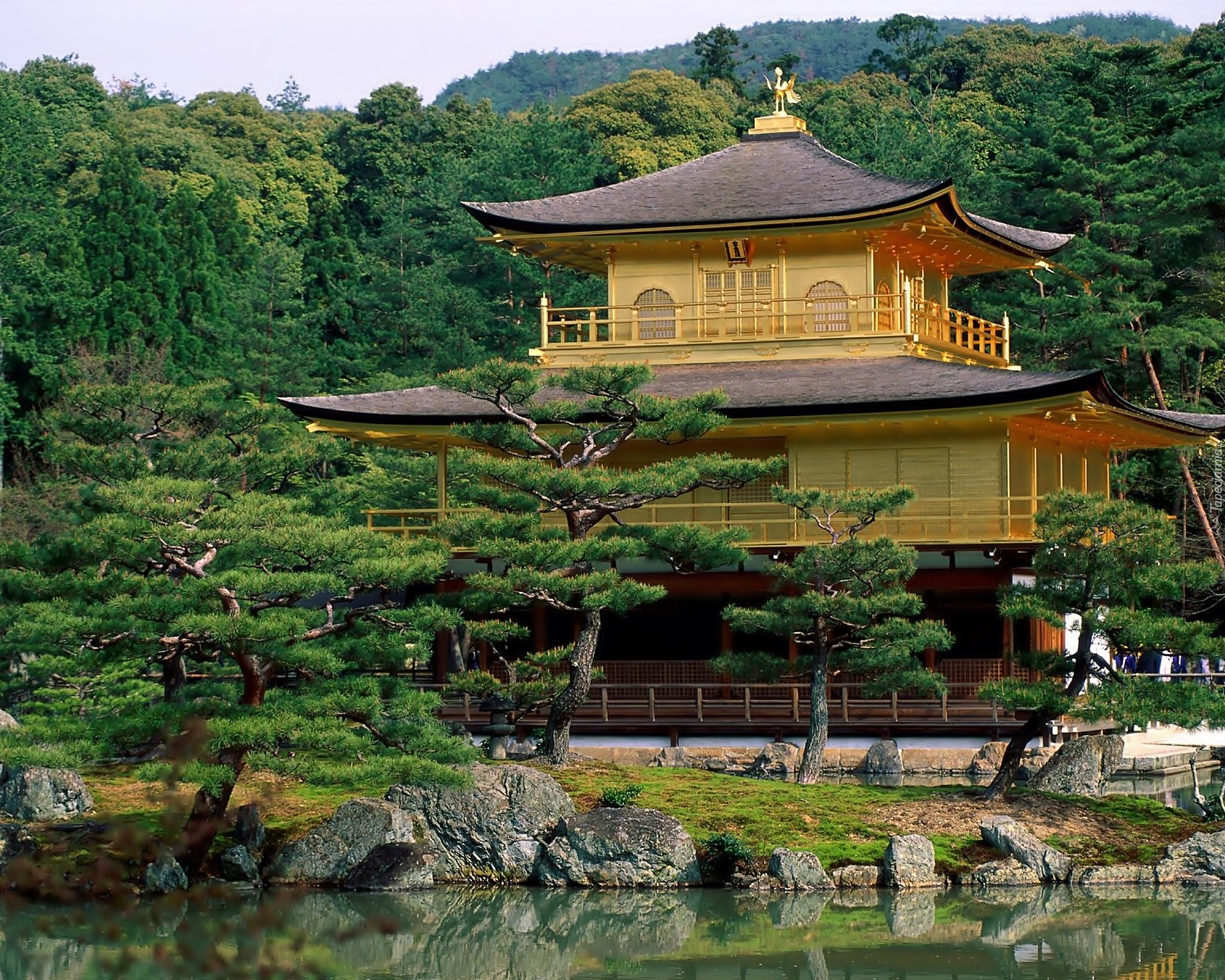 Japoński Dom Dom Japonski