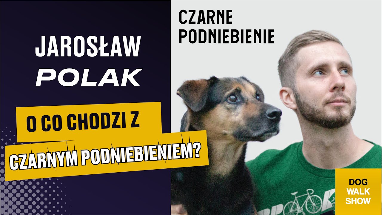 Czy Czarne Podniebienie U Psa Co Oznacza