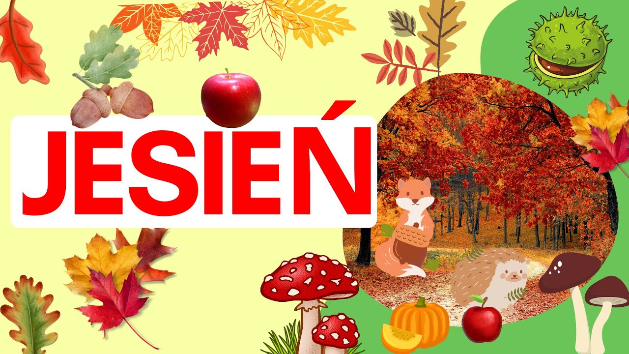 Jesien Film Edukacyjny Dla Dzieci