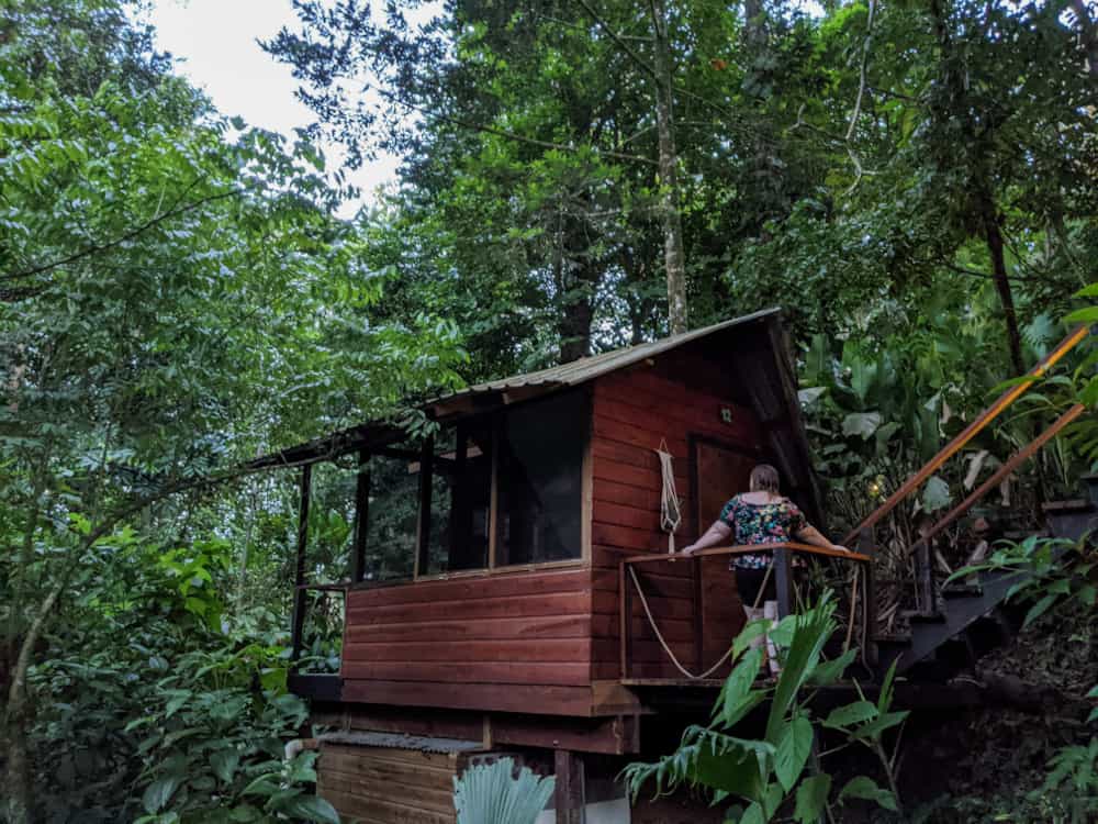 Jungle Tree House Bocas Del Toro