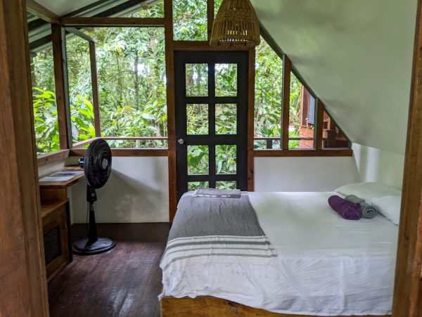 Jungle Tree House at La Selva Nomad Tree Lodge Review: Bocas del Toro Jungle Tree House Bocas Del Toro