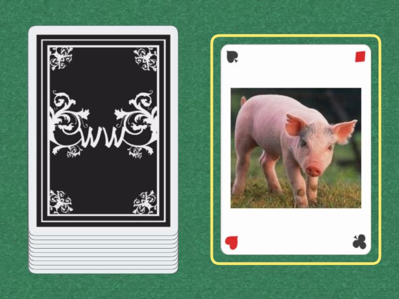 "Kamienie na szaniec" - skojarzenia - Random cards Kamienie Na Szaniec Pamiętnik Zośki