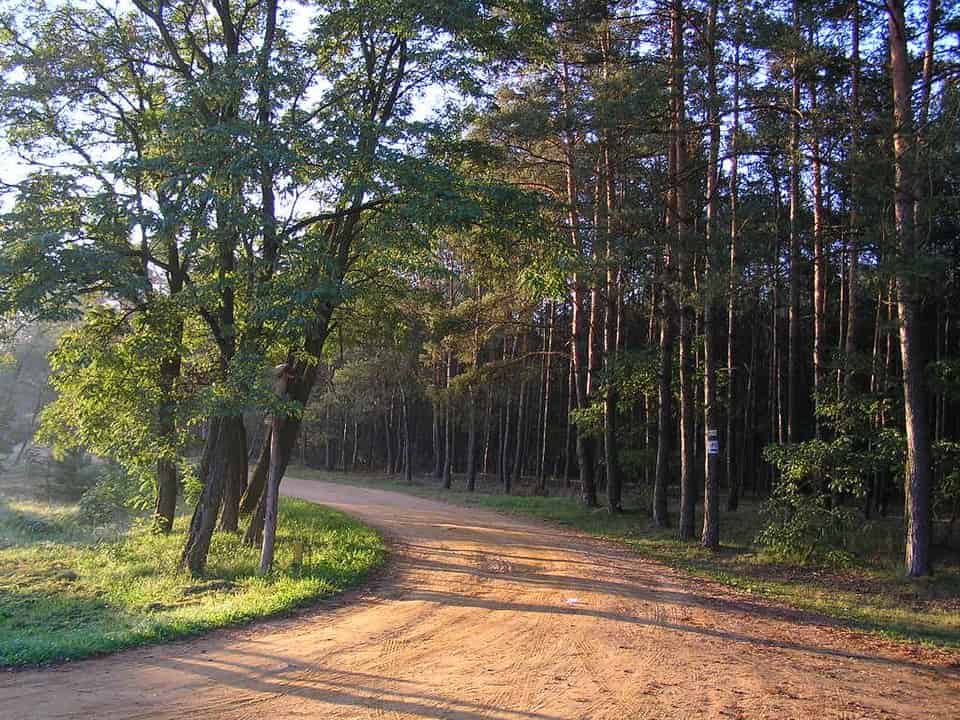 Na Jakiej Nizinie Leży Kampinoski Park Narodowy