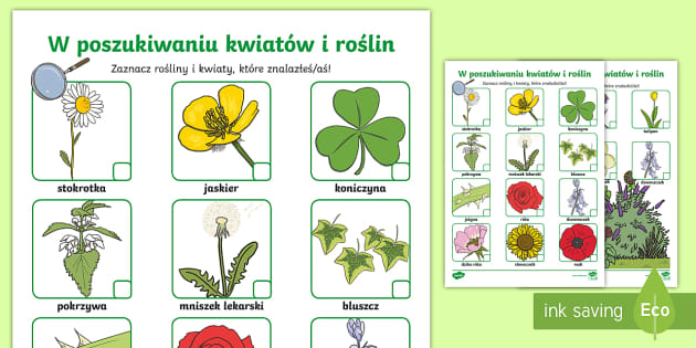 Rozpoznawanie Kwiatów Po Zdjęciu