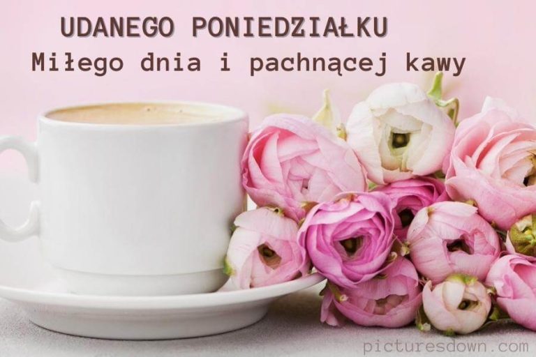 Kartka dzień dobry w poniedziałek śmieszne biuro Na Dzien Dobry W Poniedzialek
