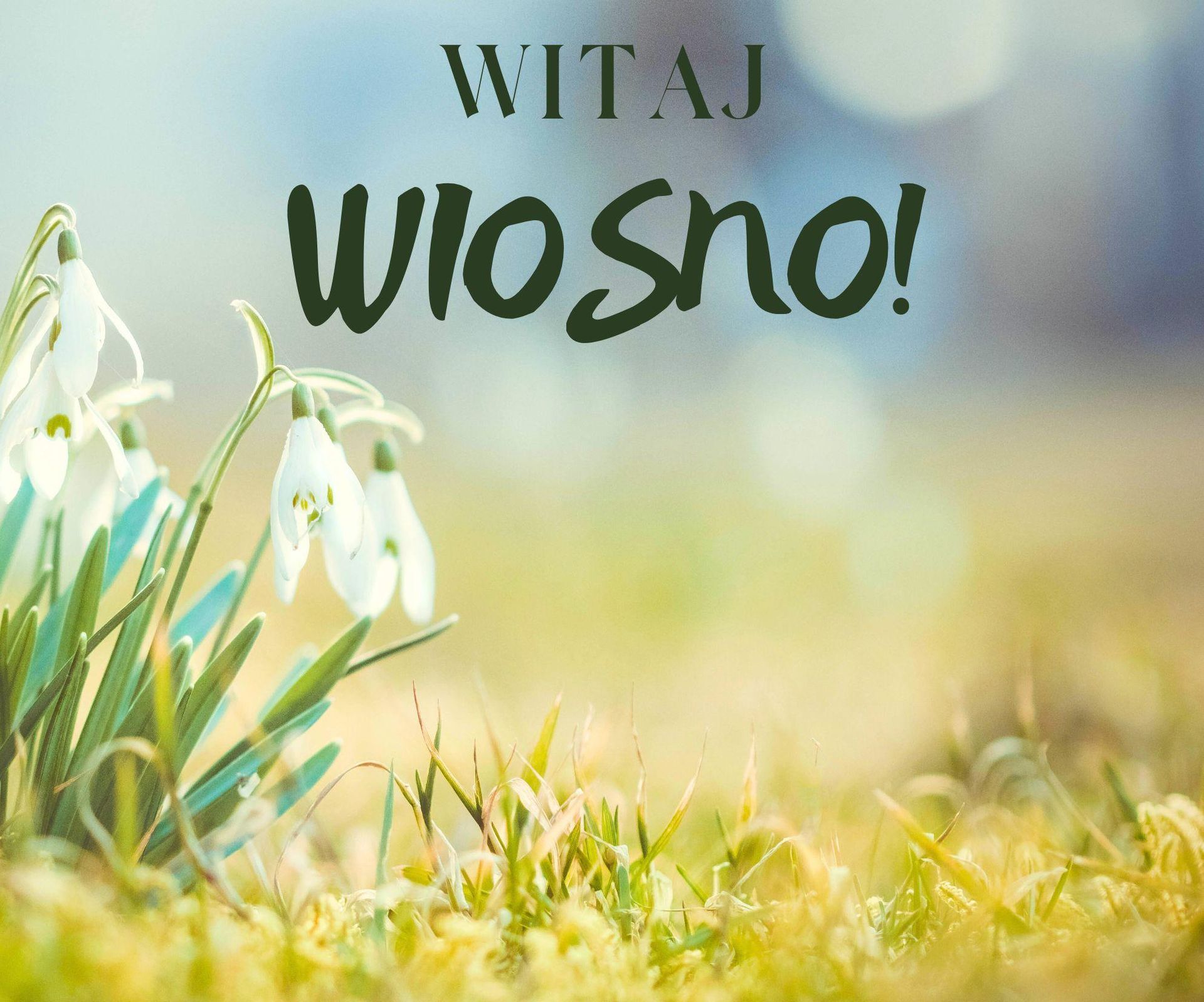 Kartki na pierwszy dzień wiosny 2024. Darmowe obrazki z życzeniami za Strj Na Pierwszy Dzien Wiosny Dla Chlopca