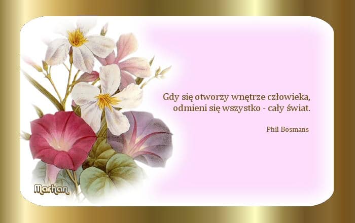 Izabela łęcka Charakterystyka Z Cytatami