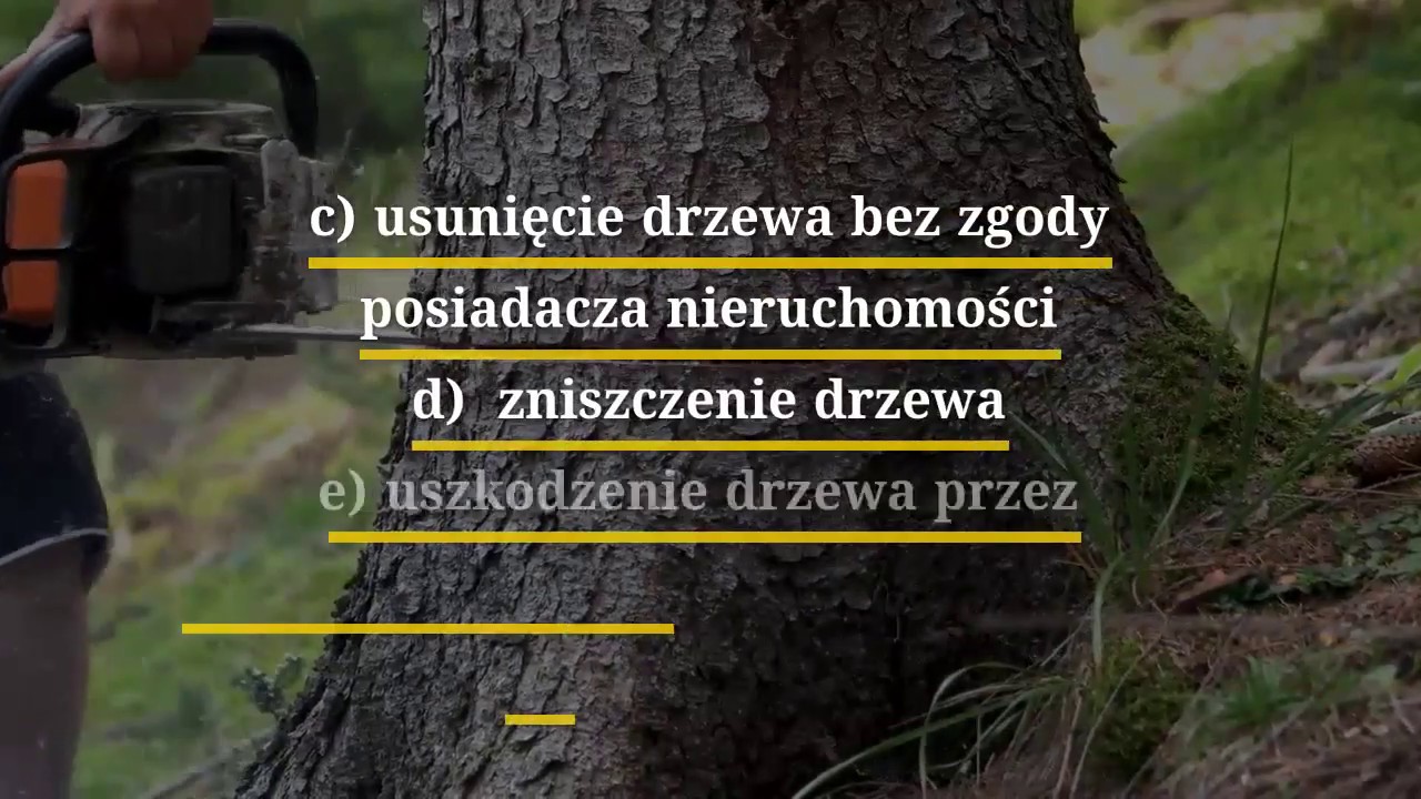 Kary Za Zniszczenie Drzewa 2018