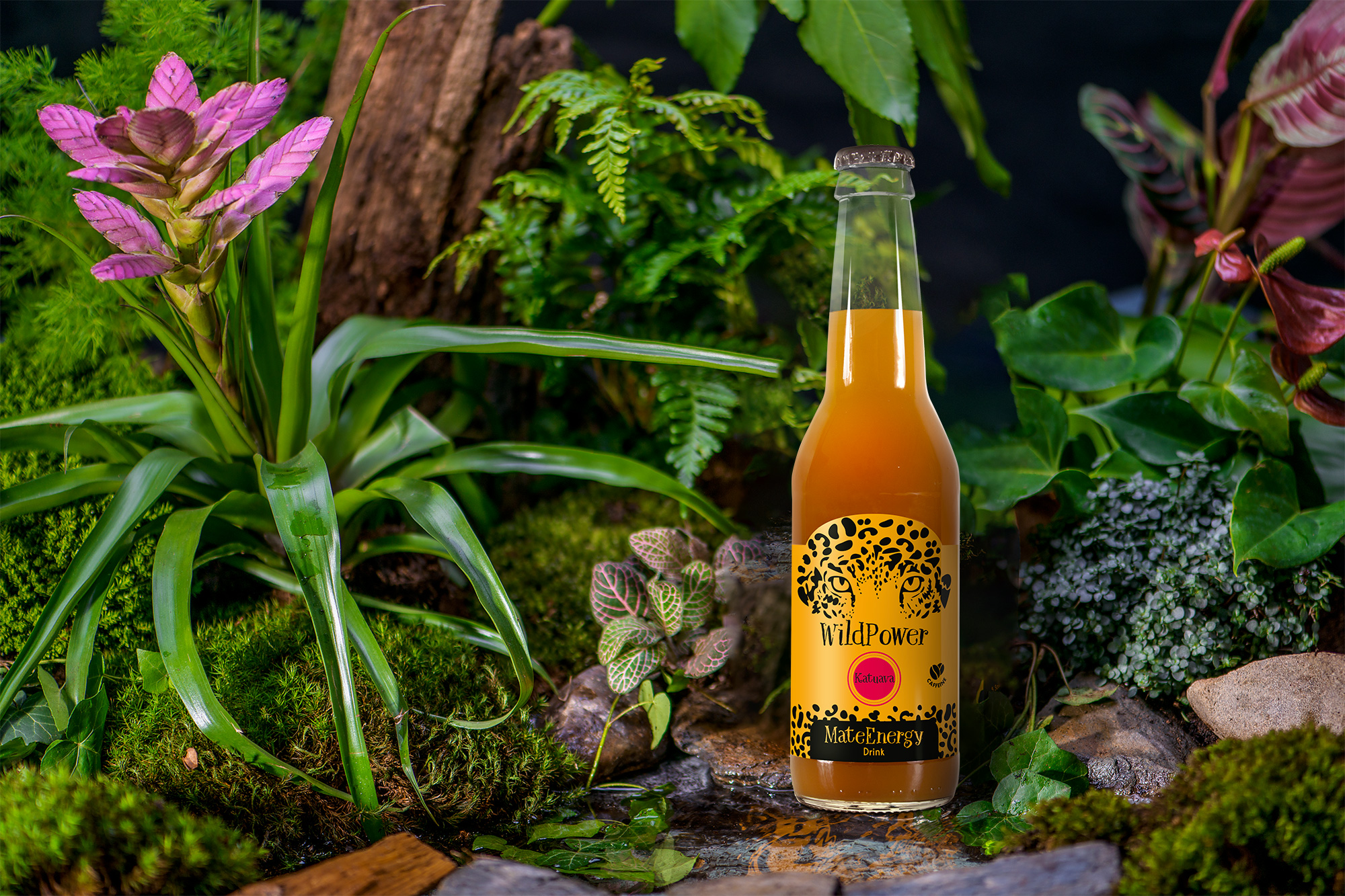 KATUAVA Mate Energy Drink – WildPower Yerba Mate Naturalna Kawa Zawiera Ok 4 Kofeiny