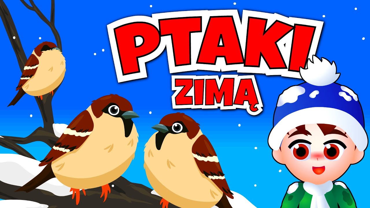 Kazio i PTAKI ZIMĄ film edukacyjny dla dzieci 🔵 Ptaki dla dzieci 🔵 Pimpuś Bohater Utworu Dla Dzieci