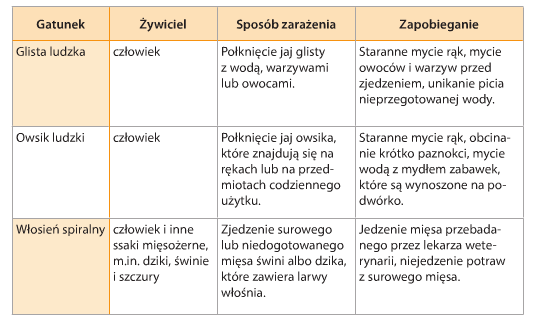 Znaczenie Nicieni W Przyrodzie I Dla Człowieka