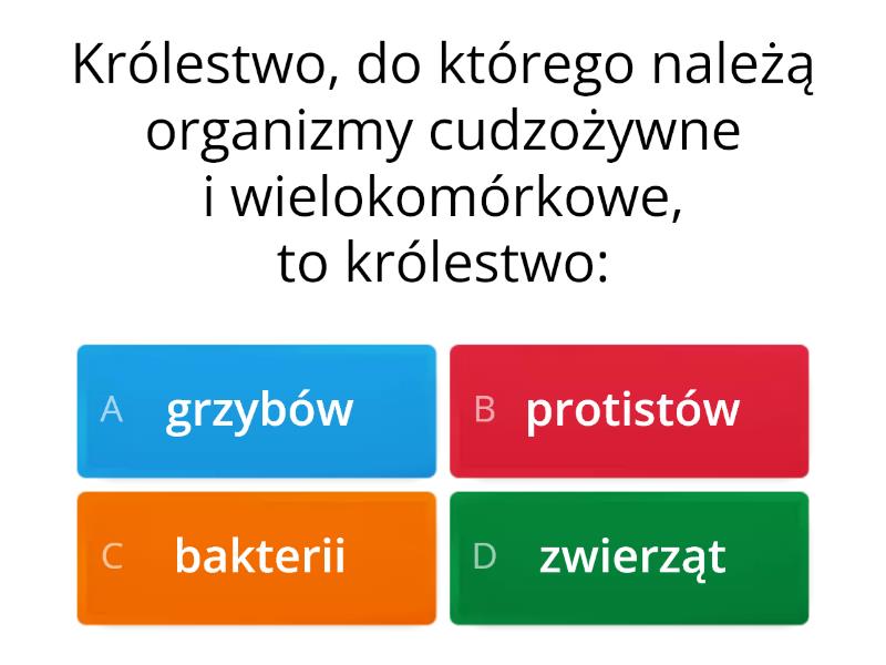 KL.5 - BAKTERIE, WIRUSY, GRZYBY - Test Wirusy Bakterie Protisty Grzyby Test Klasa 5