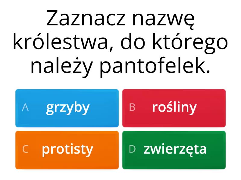 Kl.5 Sprawdzian "Wirusy, bakterie, protisty i grzyby". - Test Test Wirusy Bakterie Protisty I Grzyby Klucz Odpowiedzi