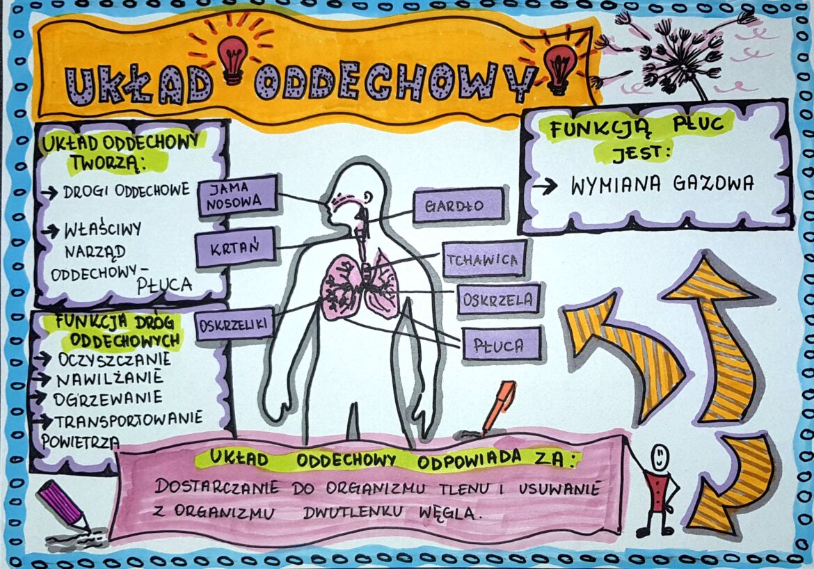 Przyroda Klasa 4 Układ Oddechowy