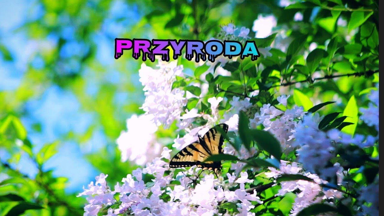 Przyroda Klasa 4 Wsip Pdf Chomikuj