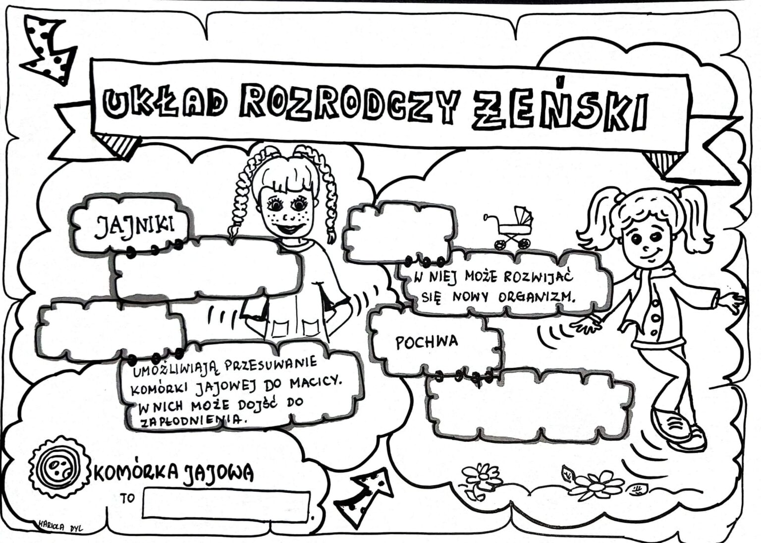 Przyroda Klasa 4 Sprawdzian Dzial 3