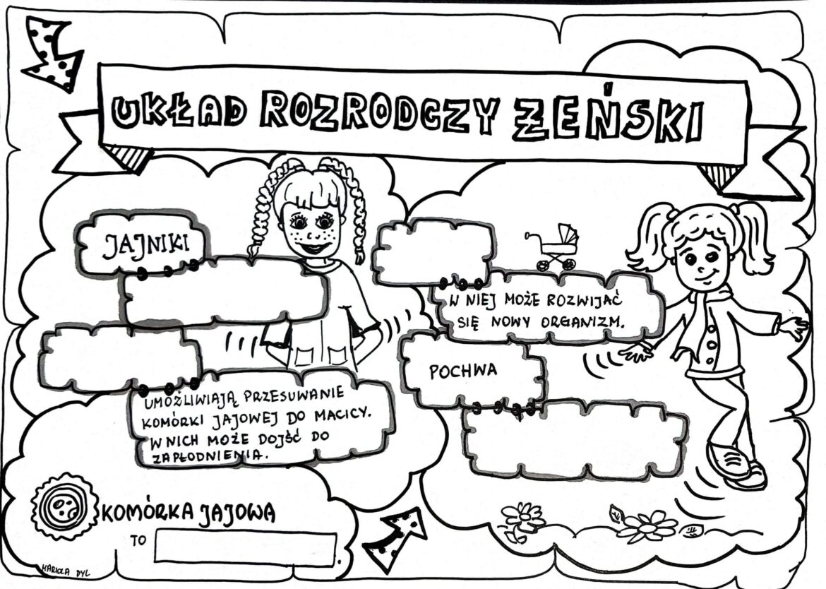 Klasa 4. Przyroda: Układ rozrodczy żeński (dwie karty pracy). • Złoty Sprawdzian Przyroda Klasa 4 Dzial 4