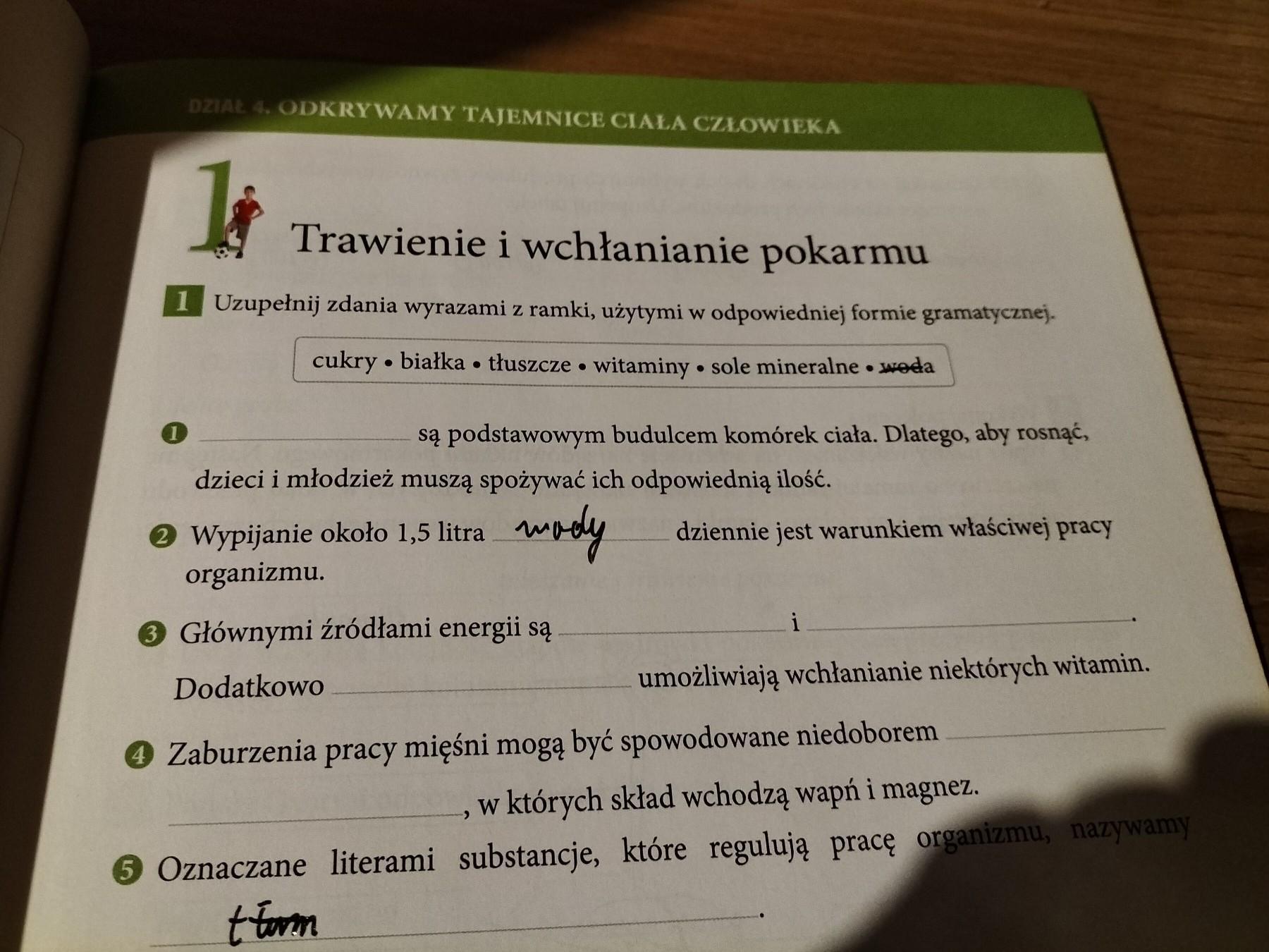 Klasa 4 przyroda zeszyt ćwiczeń str 43 zad 1 - Brainly.pl Test Z Przyrody Klasa 4