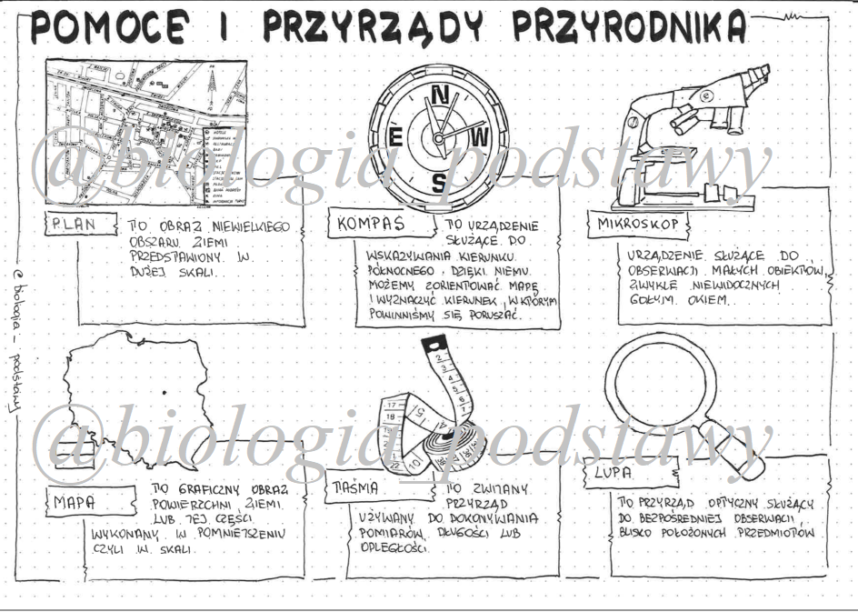 Klasa 4- Przyrządy i pomoce przyrodnika - sketchnotka • Złoty nauczyciel Przyrządy I Pomoce Przyrodnika Nowa Era