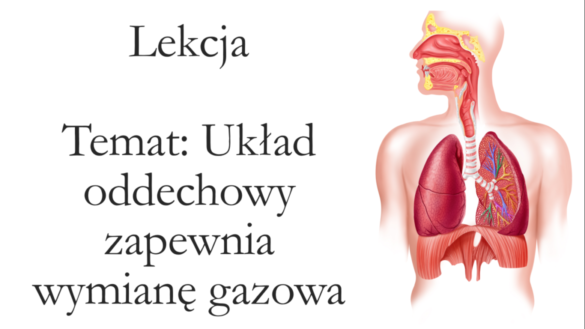 Klasa 4 - Układ oddechowy - prezentacja • Złoty nauczyciel Przyroda Klasa 4 Układ Oddechowy