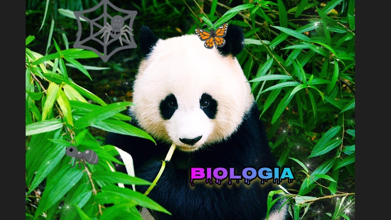 Klasa 5 Biologia 1.1 cz2 Biologia jako nauka, budowa organizmów Test Z Biologii Dzial 2 Klasa 5