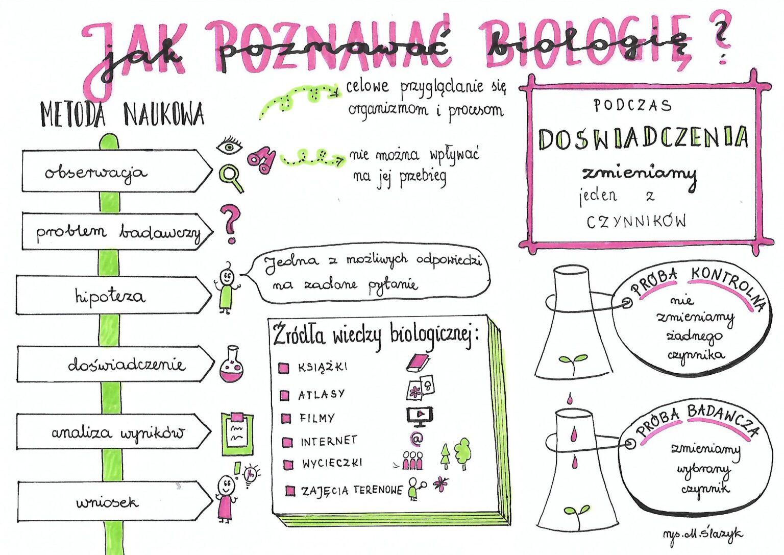 Klasa 5. Biologia. Jak poznawać biologię. • Złoty nauczyciel Jak Poznawać Biologię Klasa 5