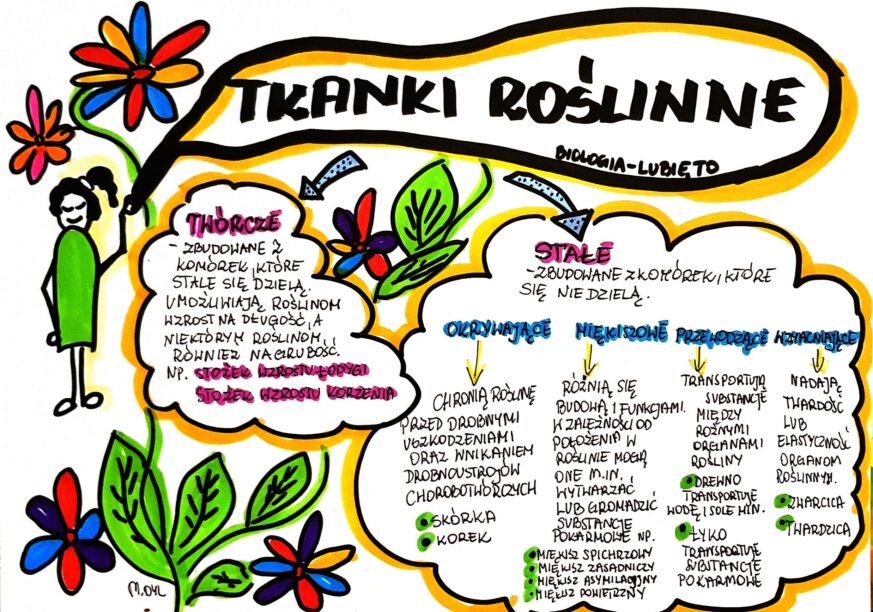 Tkanki Roslinne Kartkwka Klasa 5
