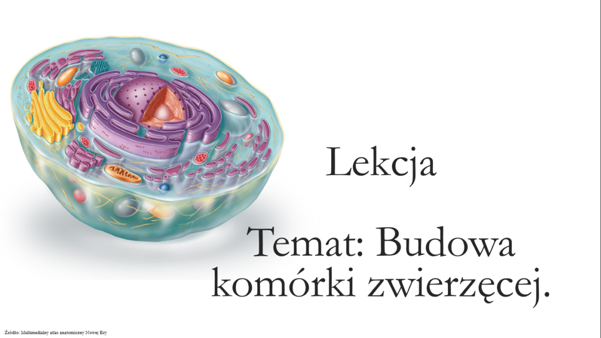 Klasa 5 - Budowa komórki zwierzęcej - prezentacja • Złoty nauczyciel Budowa Komorki Zwierzecej Test Klasa 5