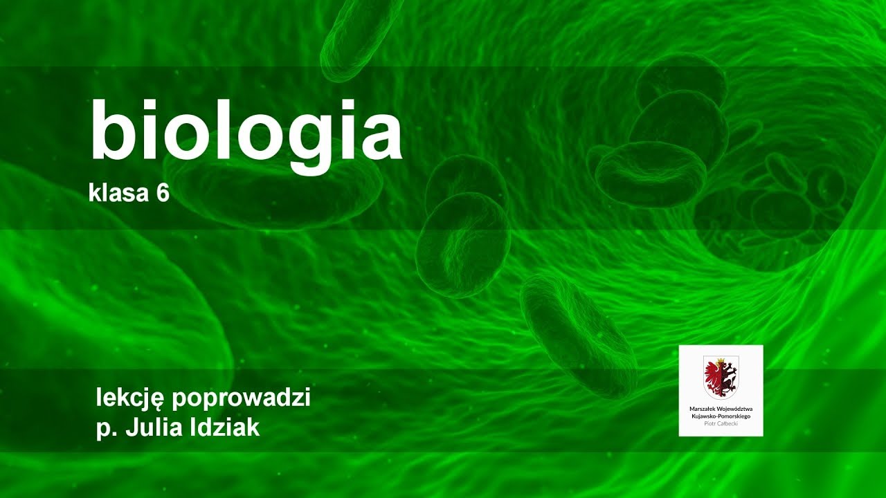 Klasa 6 - Biologia - gady: kręgowce lądowe | szkoła - YouTube Test Biologi Dzial Klasa 6