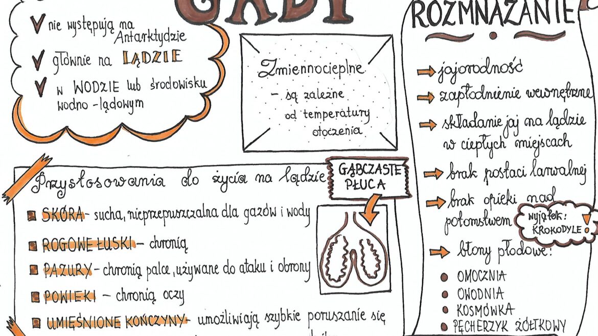 Biologia Klasa 6 Dzial 3 Sprawdzian