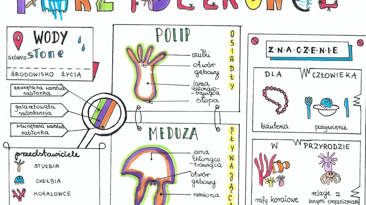 Biologia Klasa 6 Od Parzydełkowców Do Pierścienic