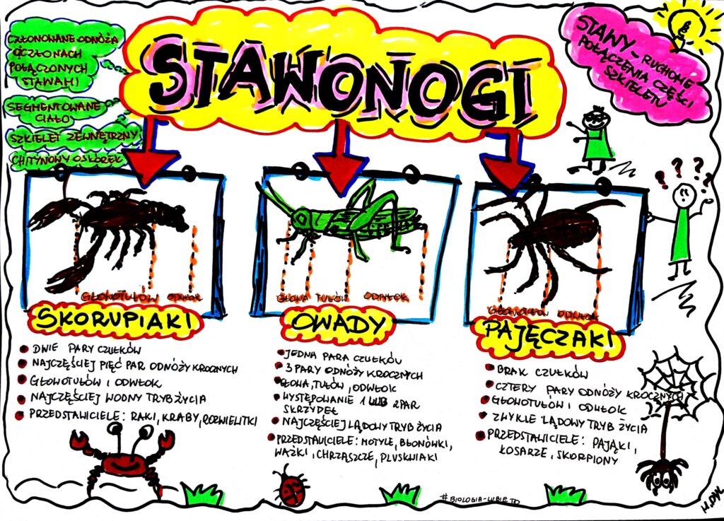 Sprawdzian Biologia Stawonogi I Mieczaki Klasa 6 Nowa Era