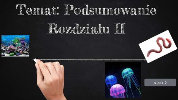 klasa 6 - "Od parzydełkowców do pierścienic" - podsumowanie Od Parzydelkowcow Do Pierscienic