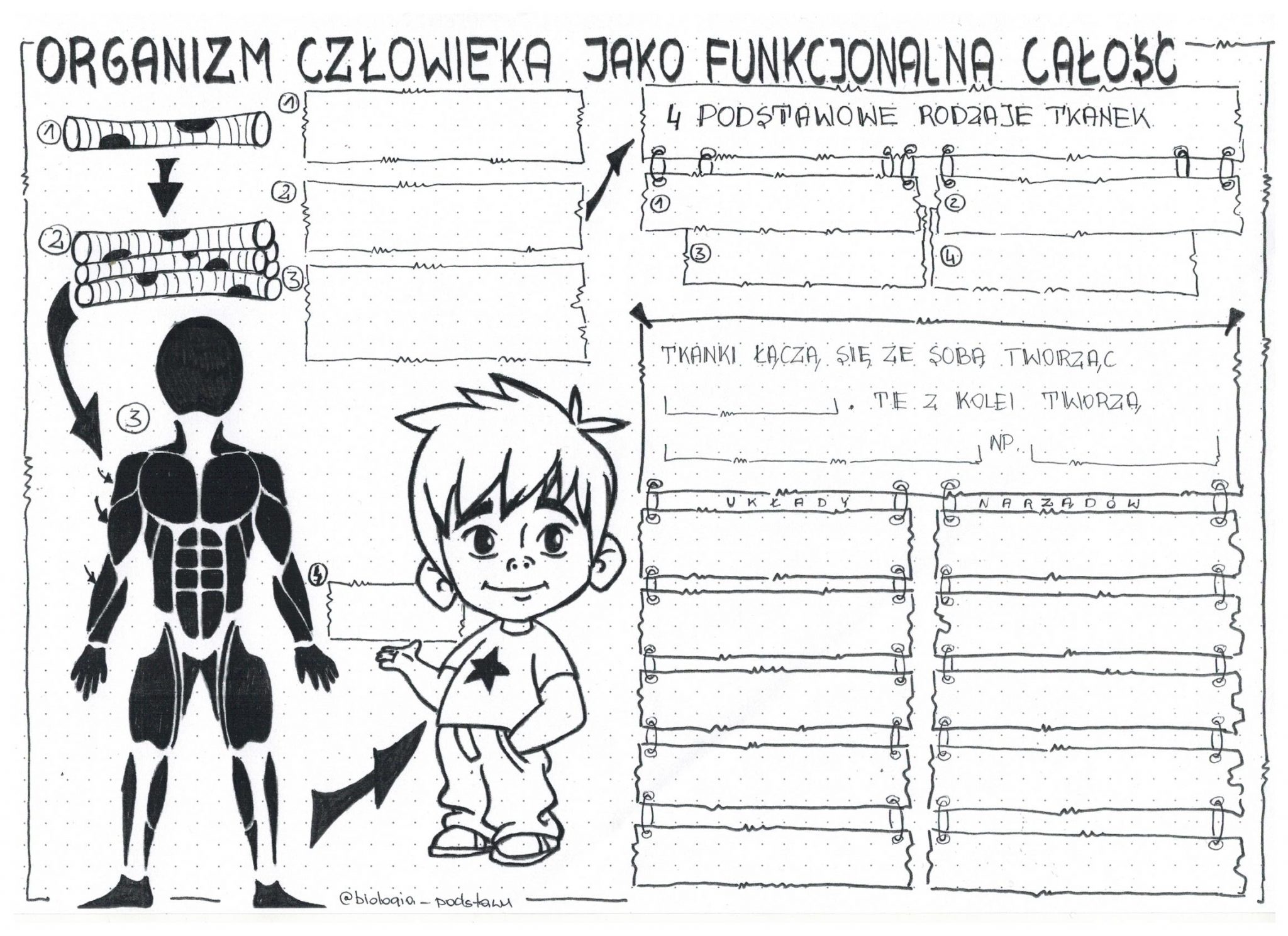 Skóra Powłoka Organizmu Sprawdzian Klasa 7 Pdf