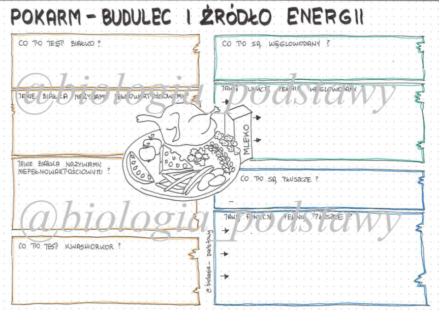Pokarm Budulec I Zrdlo Energii Karta Pracy