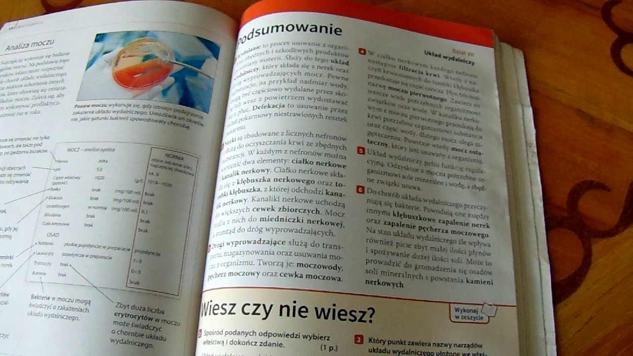 Klasa 7. Temat: Układ wydalniczy podsumowanie - YouTube Sprawdzian Uklad Wydalniczy Klasa 7