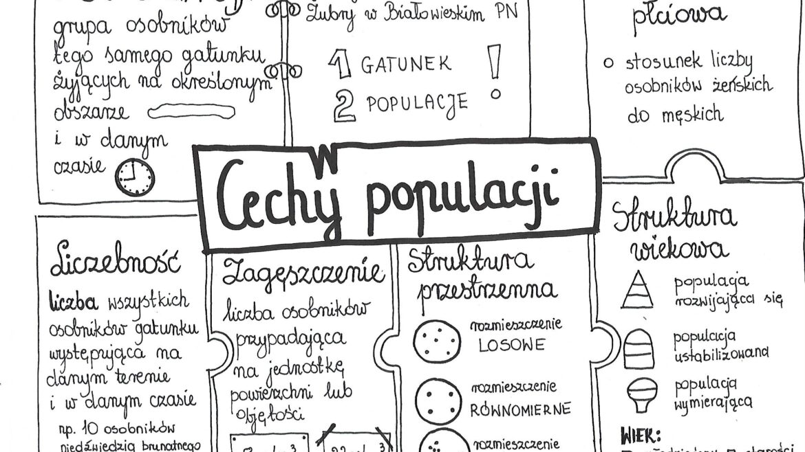 Biologia Klasa 8 Podręcznik Nowa Era