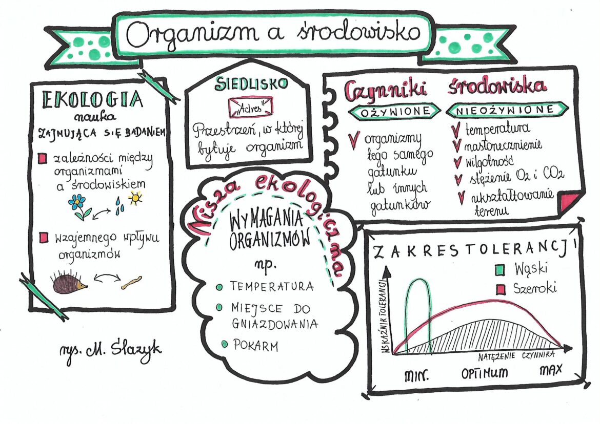 Kartkowka Biologia Klasa 8 Ekologia