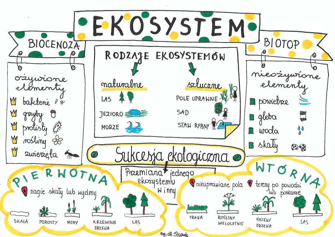 Sprawdzian Biologia Klasa 8 Ekologia Nowa Era