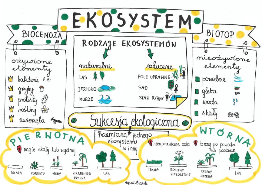 Sprawdzian Biologia Ekosystem Klasa 8 Nowa Era