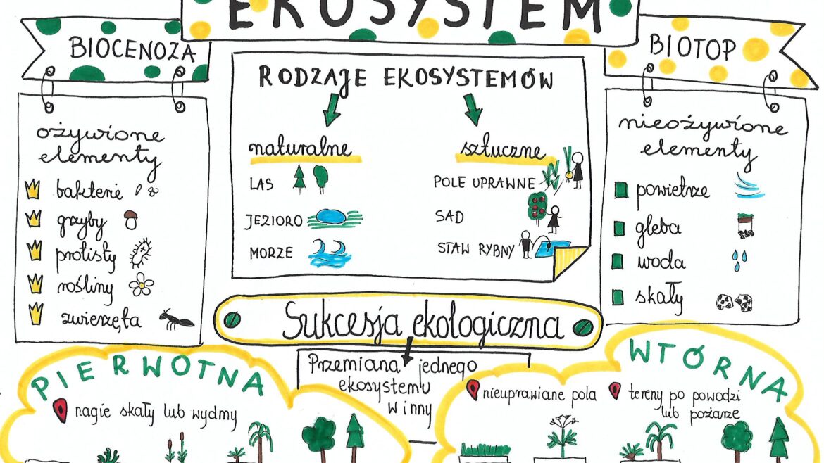Klasa 8. Biologia. Ekosystem • Złoty nauczyciel Kartkowka Biologia Klasa 8 Ekologia