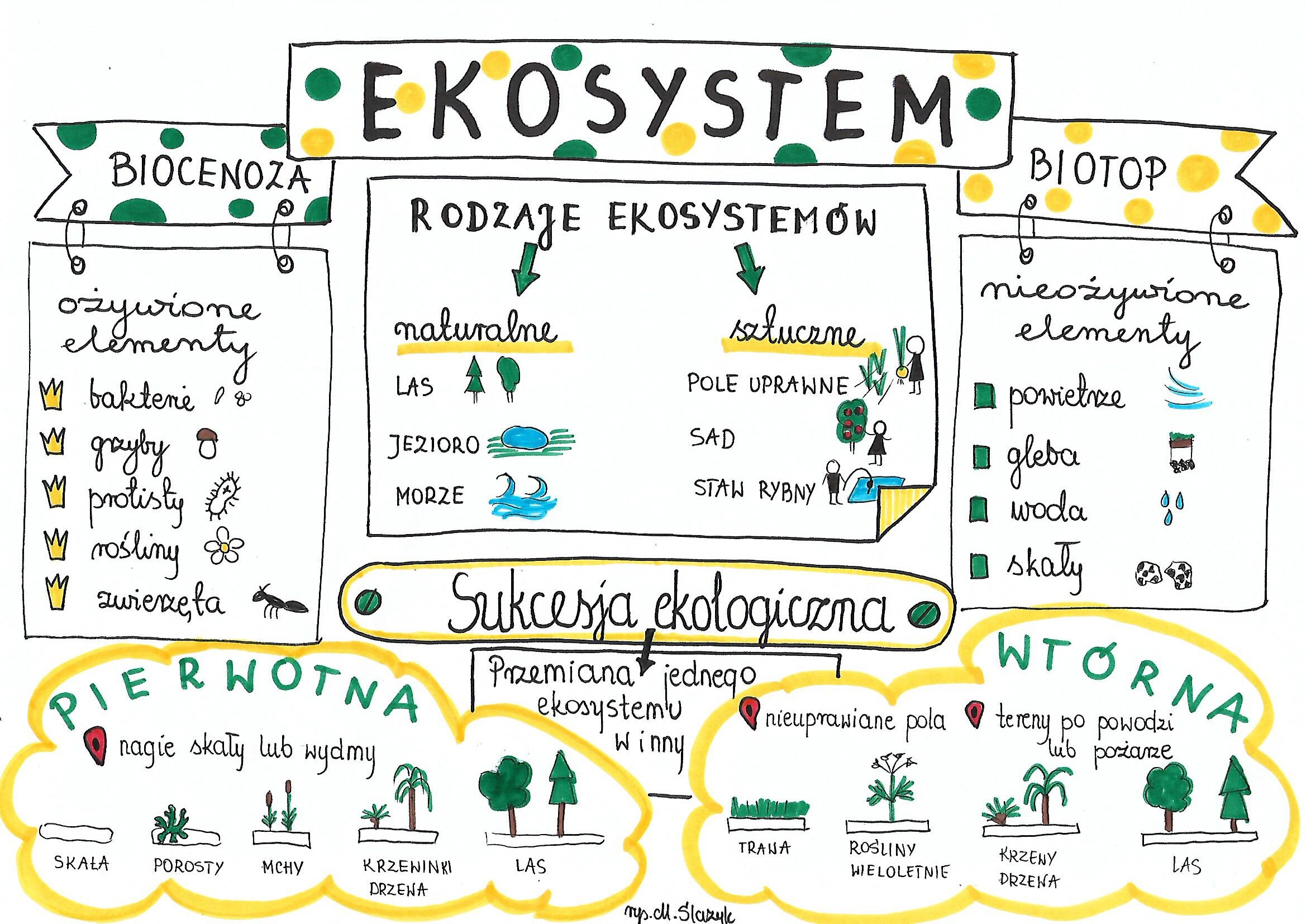 Ekosystem Sprawdzian