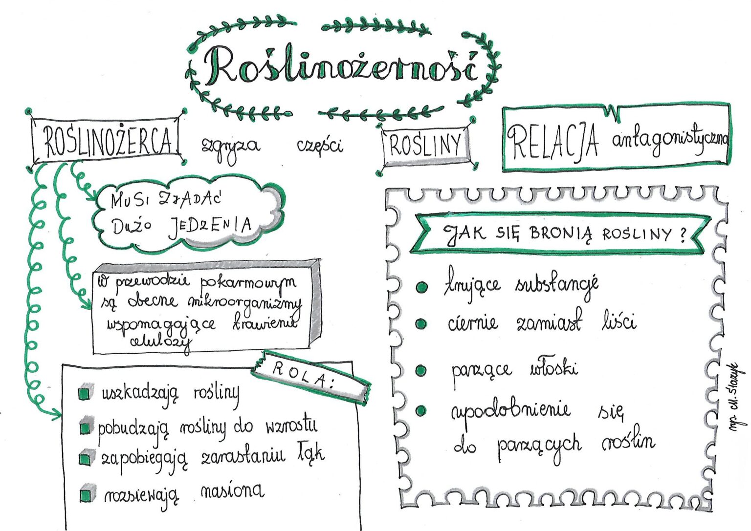 Klasa 8. Biologia. Roślinożerność • Złoty nauczyciel Roslinozernosc