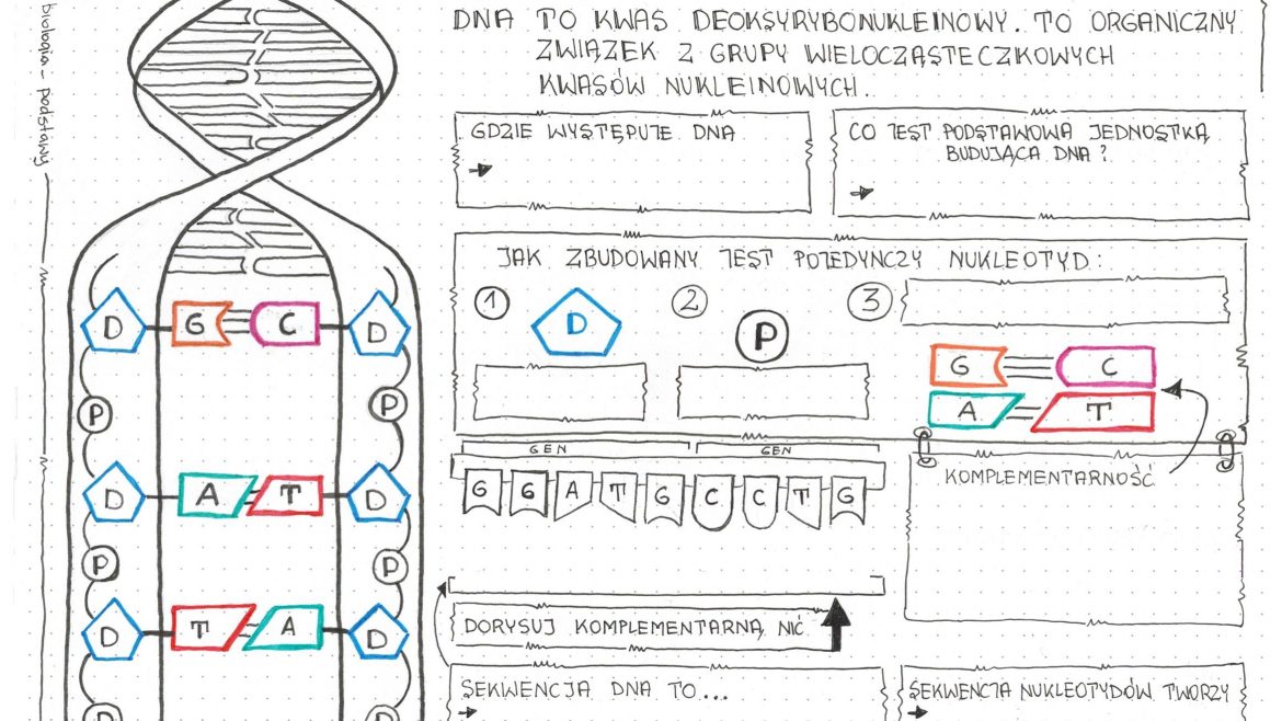 Kartkowka Biologia Klasa 8 Dna