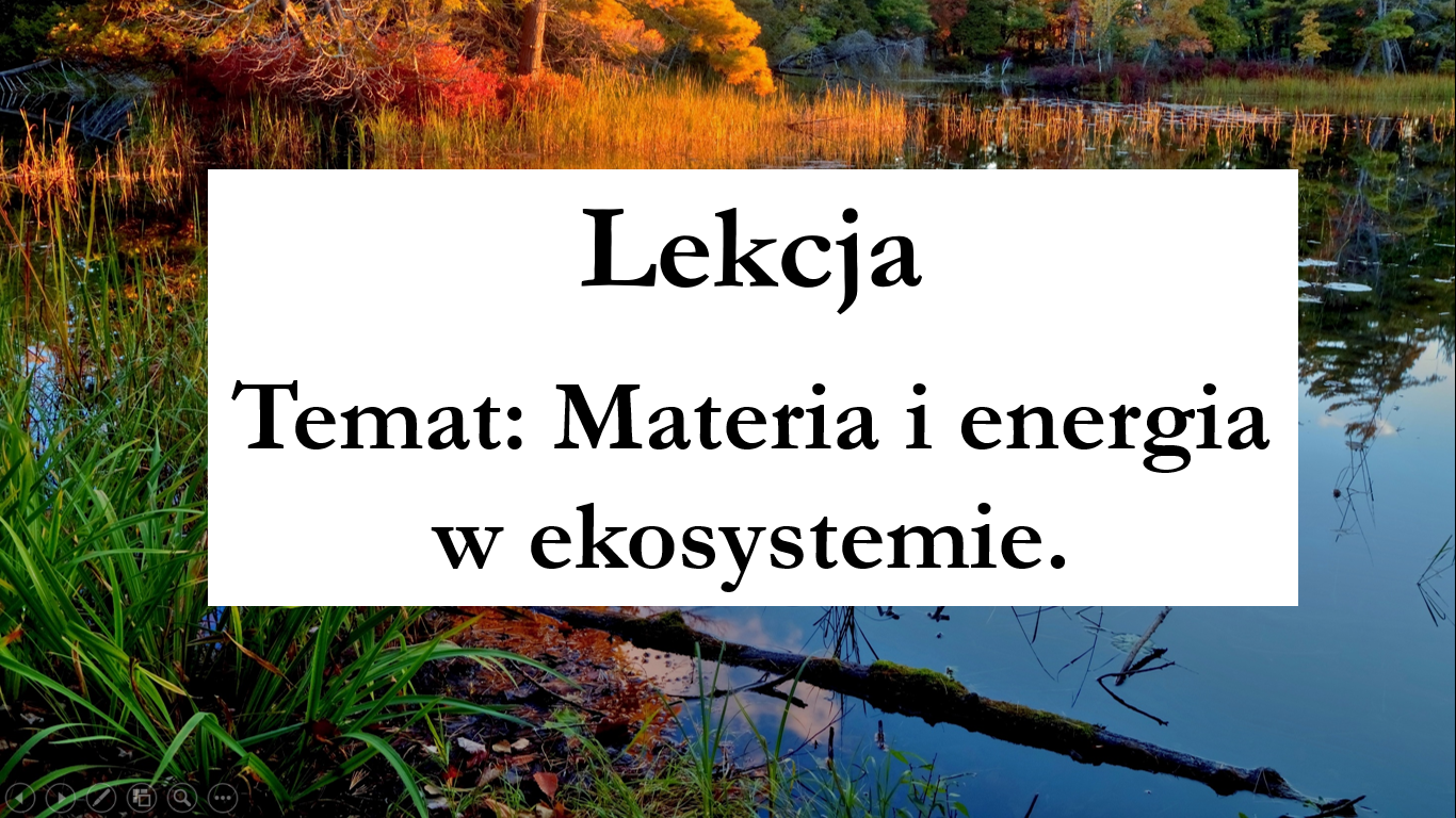 Klasa 8 - Materia i energia w ekosystemie - prezentacja • Złoty nauczyciel Określ Rolę Destruentów W Ekosystemie